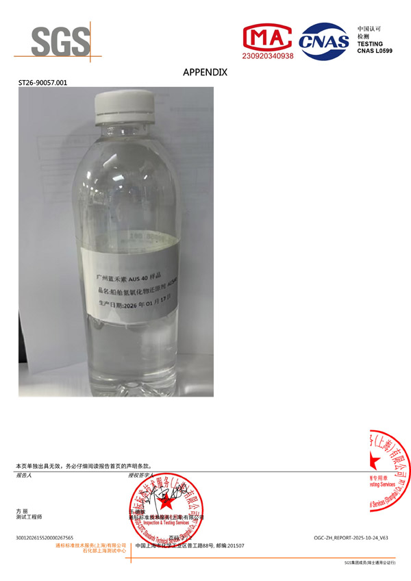 SGS AUS40 报告(中文)