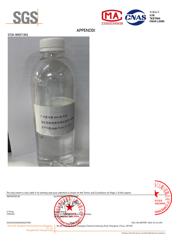SGS AUS40 报告(英文)